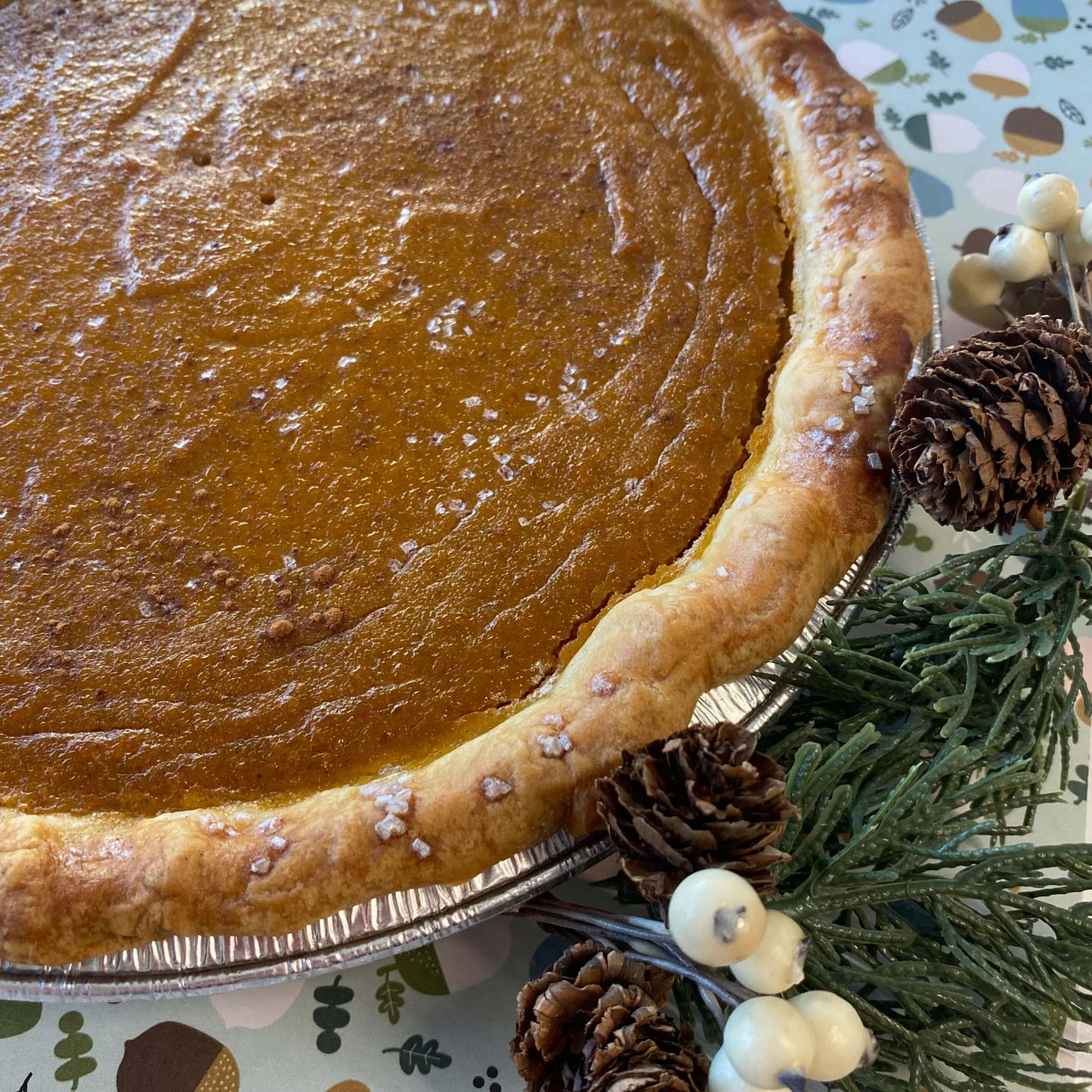 Pumpkin Pie