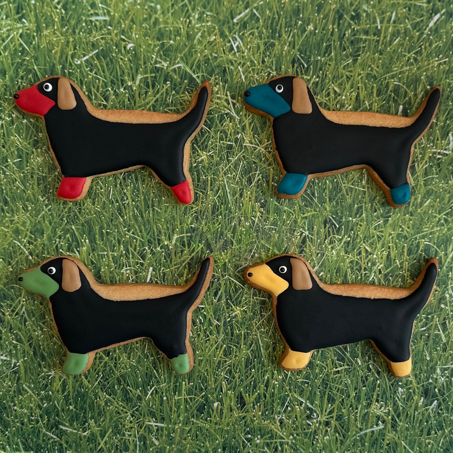 Custom Dog Cookies