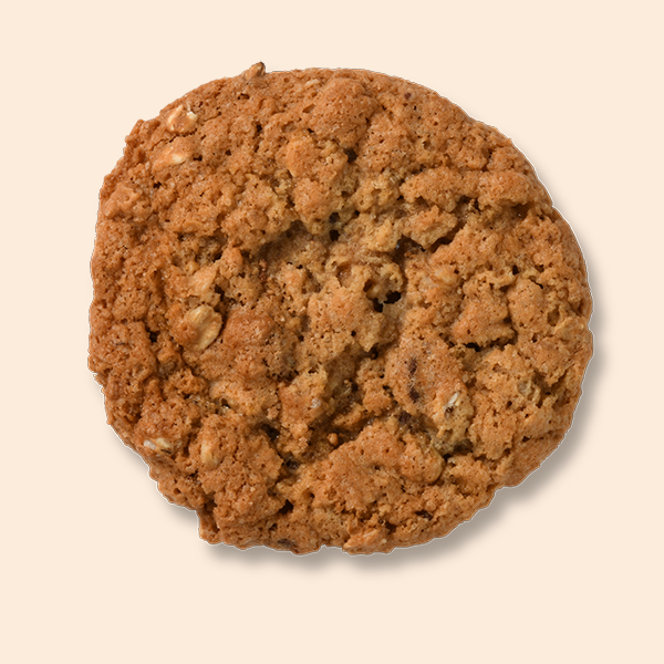 Oatmeal Chocolate Chip Cookie