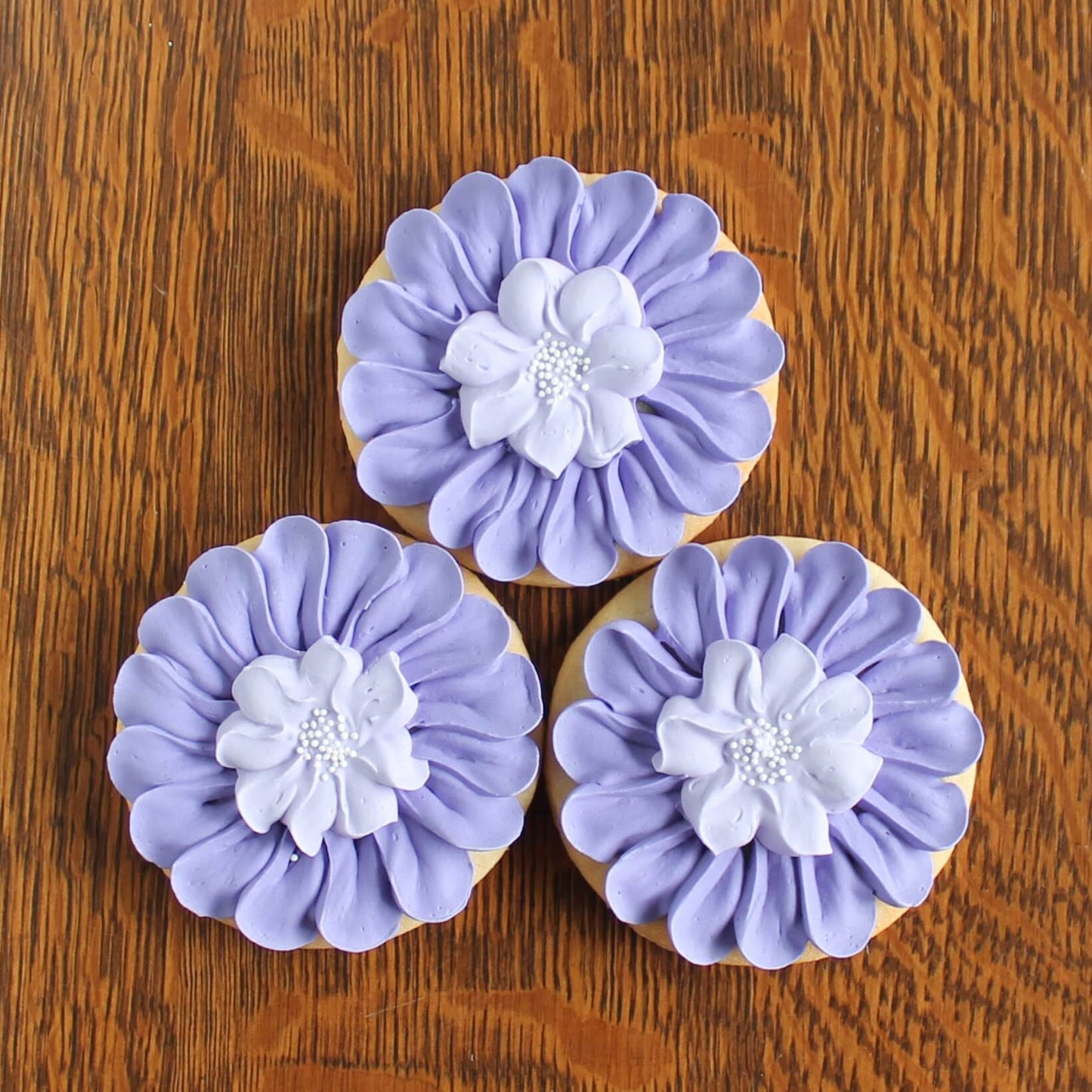 Purple Daisies